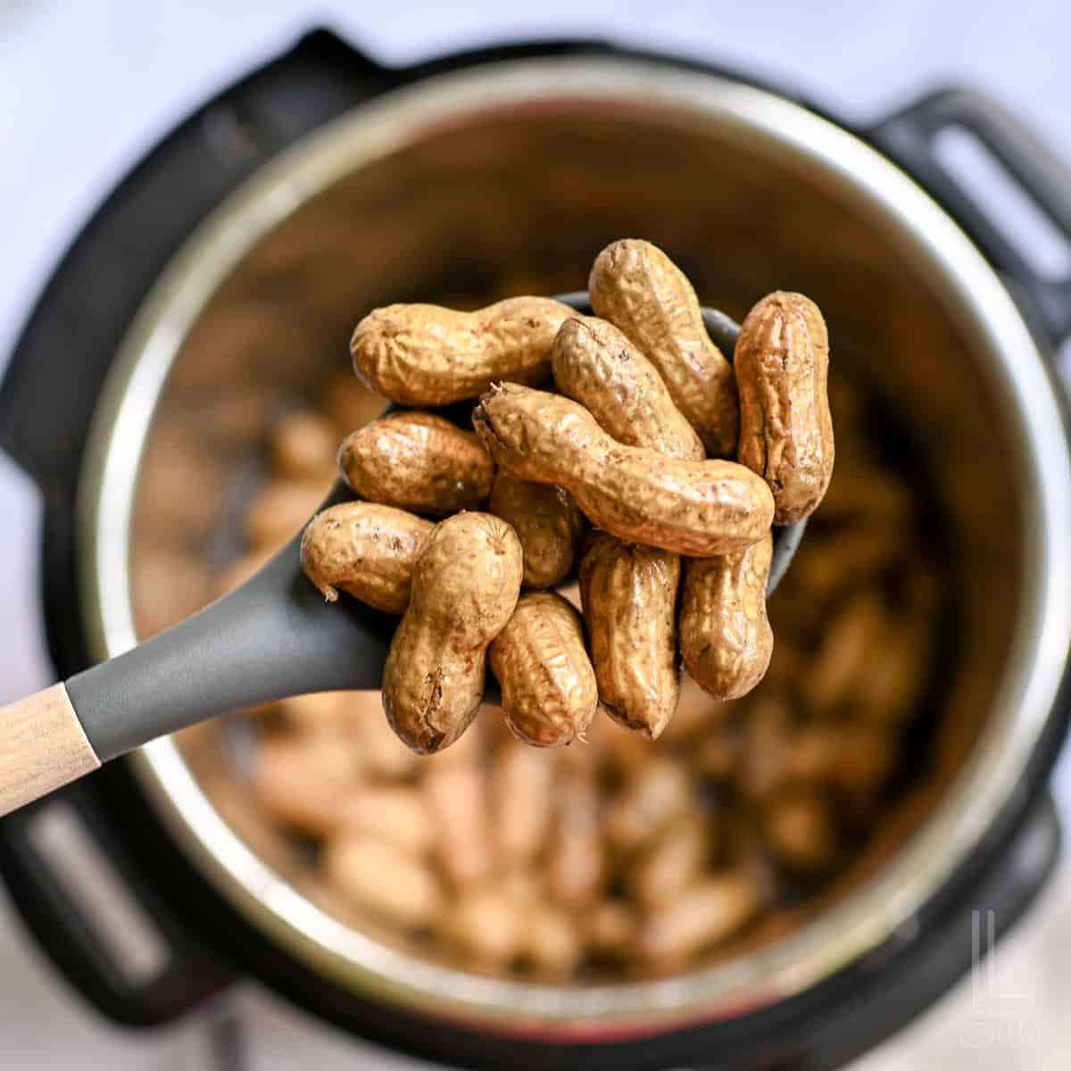 holding a spoonful of boiled peanuts above an instant pot.