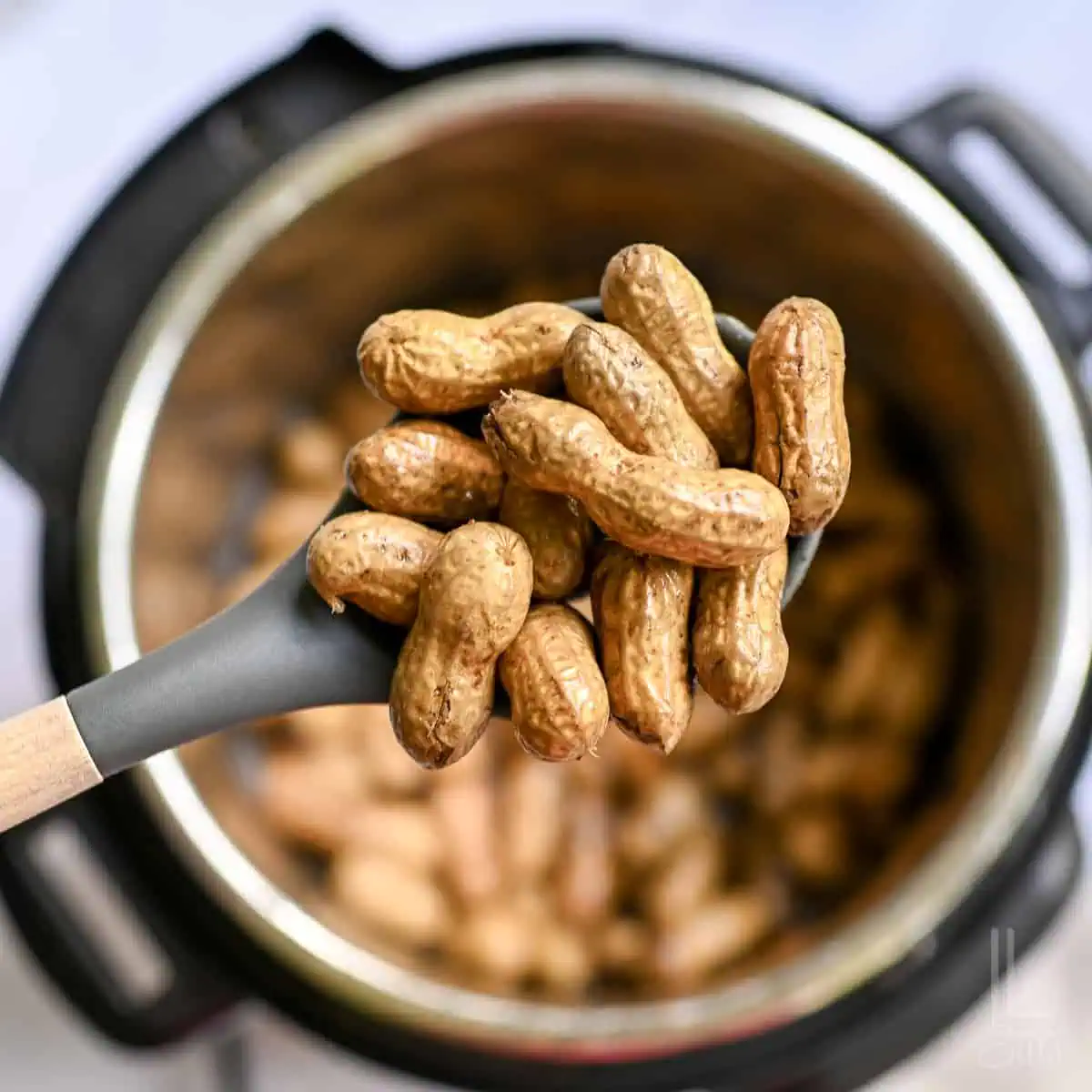 holding a spoonful of boiled peanuts above an instant pot.
