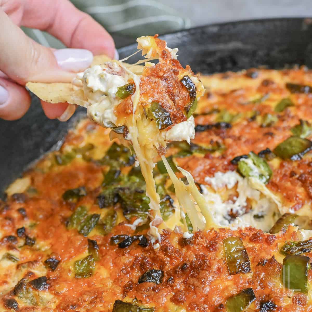 lifting a scoop of jalapeno popper dip with a tortilla chip.