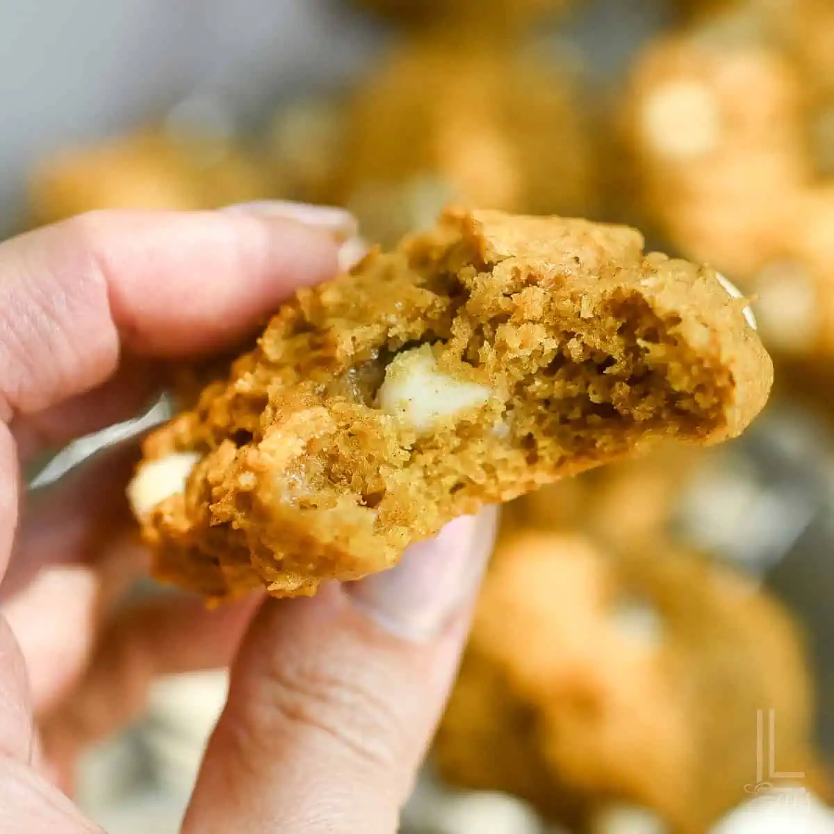 Close-up of a white chocolate chip pumpkin cookie with a bite taken out, held by hand.