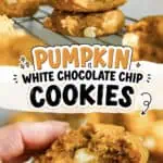 Close-up of a hand holding a white chocolate chip cookie with a bite taken out.