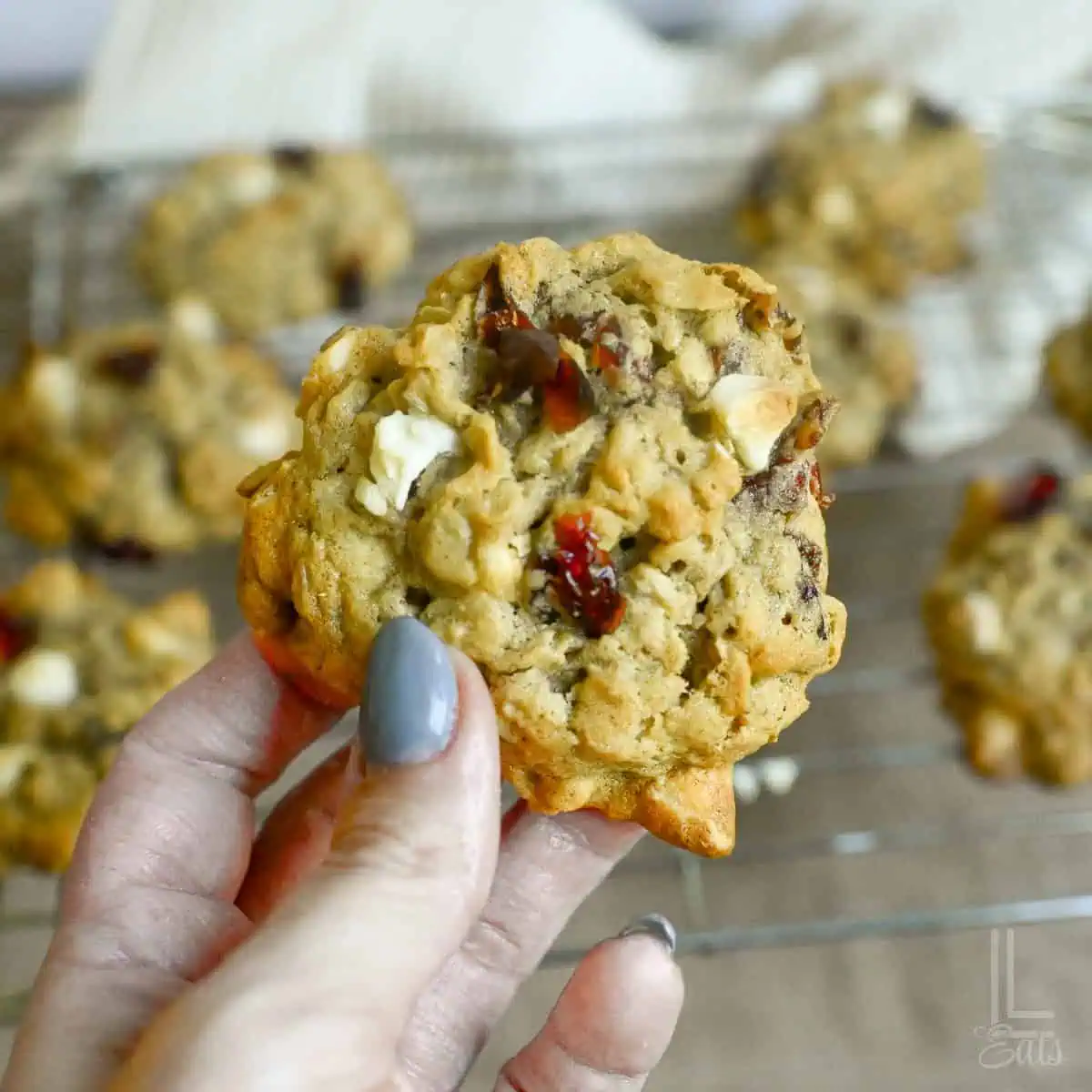 holding an oatmeal cranberry cookie, showing white chocolate chips and dried cranberry.
