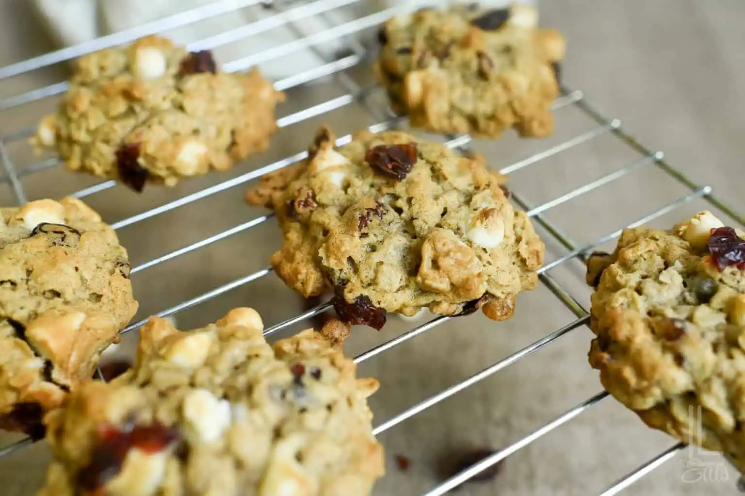 Oatmeal cranberry cookies with white chocolate on a cooling rack.