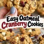 Close-up of a cranberry oatmeal cookie with white chocolate chunks held by a hand.