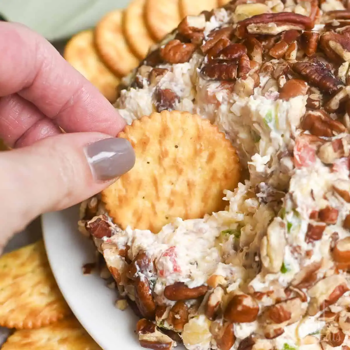 Close-up of a hand dipping a cracker into a creamy pineapple cheese ball with bacon and nuts.