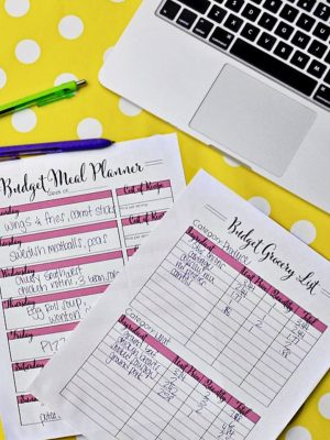 home organization printables - budget meal planning