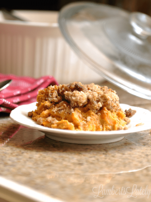 This recipe for Pumpkin Spice Sweet Potato Casserole looks delicious! Lots of rich flavors and spices.